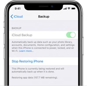 iPhone XS not backing up to iCloud