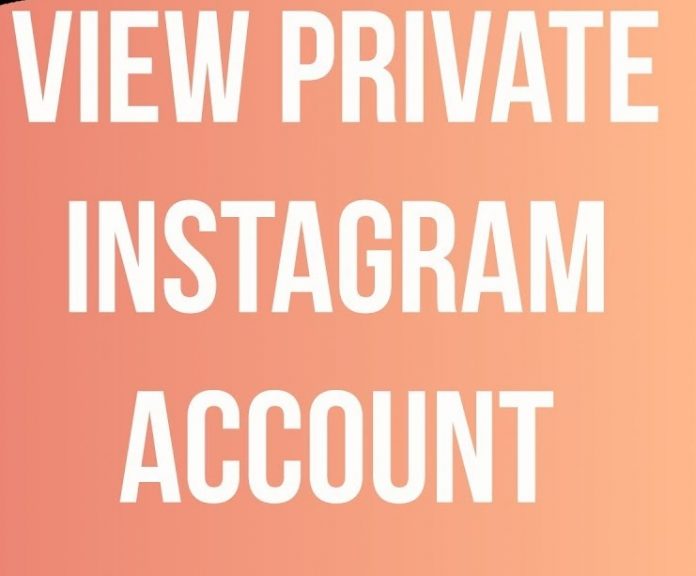 view Private Instagram Account