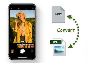 How to convert HEIC to JPG format on iPhone or iPad - KrispiTech