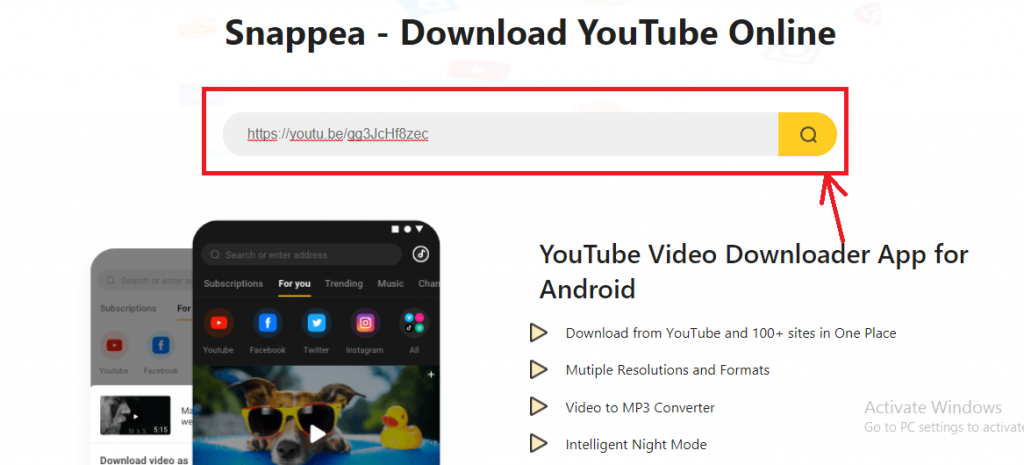 download music and video on Snappea