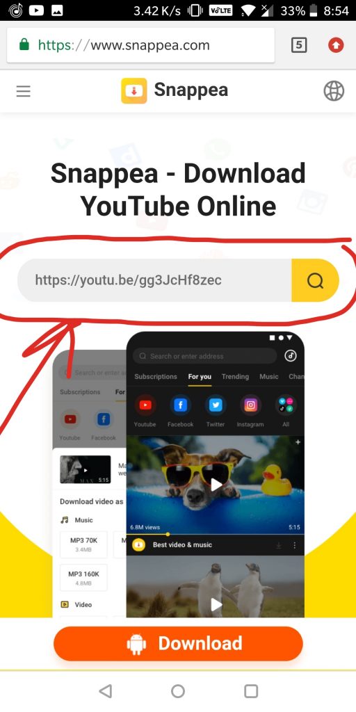 download music and video on Snappea