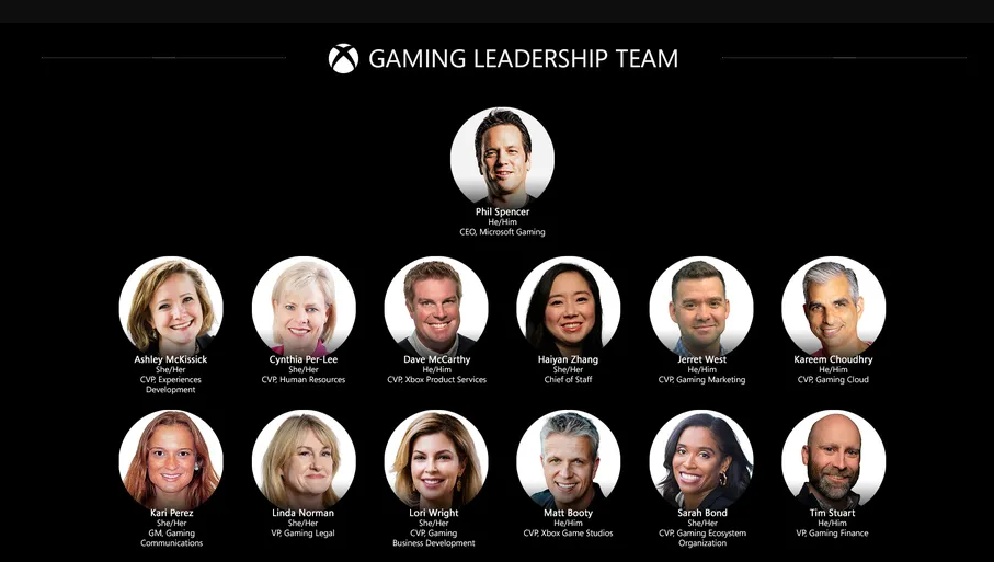Microsoft Gaming Division