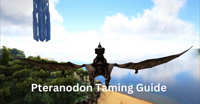 How to tame Pteranodon ark